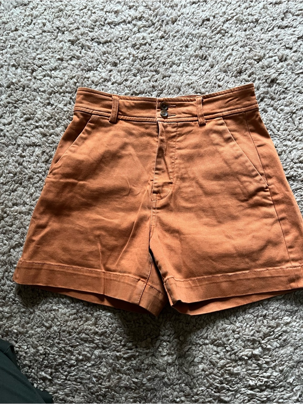 Everlane High-Waist Cotton Shorts